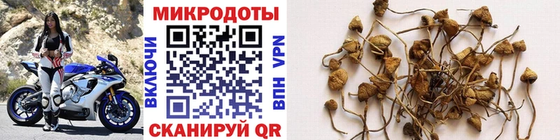 дарк нет как зайти  как найти закладки  Юхнов  Галлюциногенные грибы ЛСД 